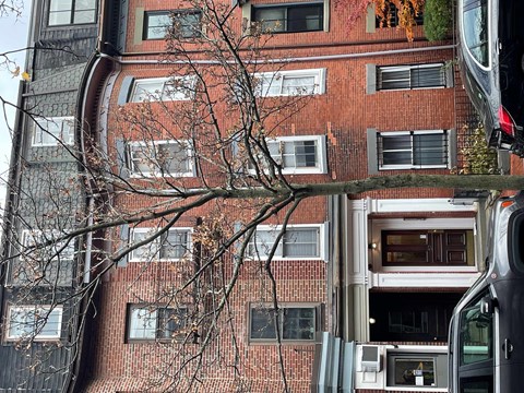 A tree in front of a red brick building.