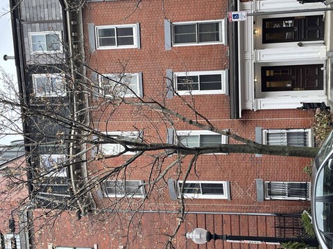 A tree in front of a red brick building.