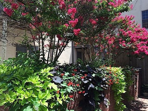 Courtyard
