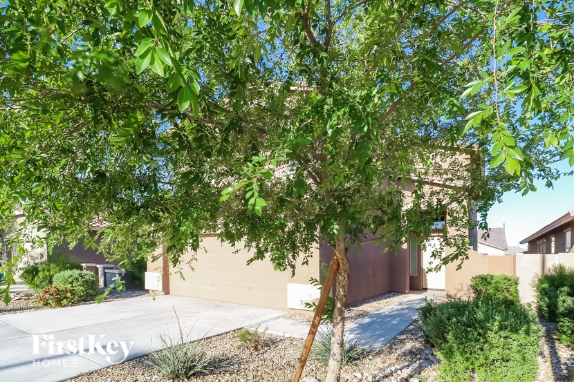 A tree with green leaves is in the foreground of a residential area.