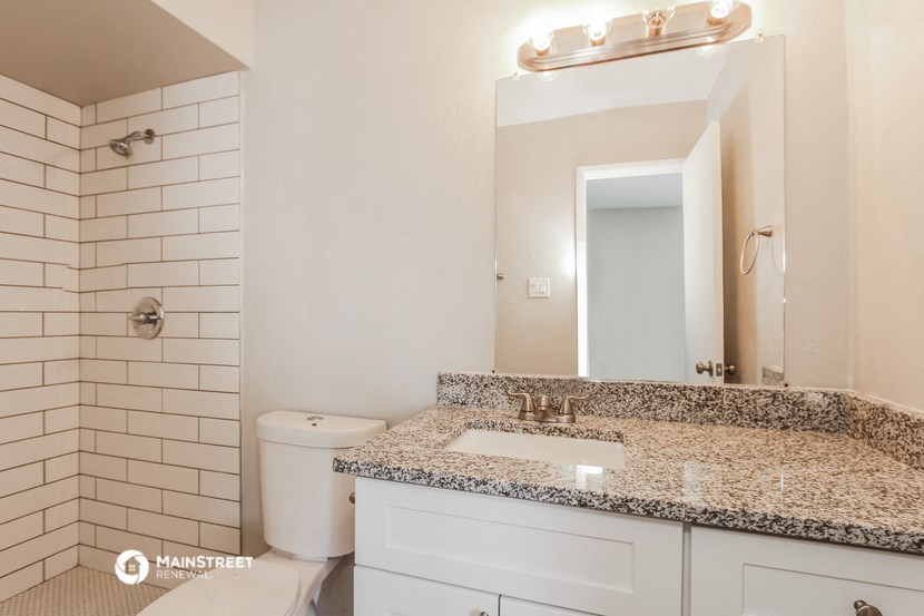 a bathroom with a sink and a toilet and a mirror