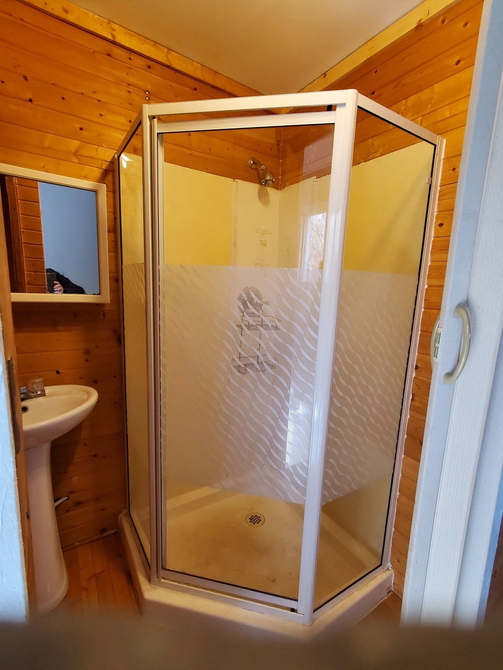 a shower with a glass door in a bathroom with a sink