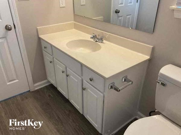 a bathroom with a sink and a toilet