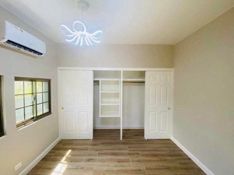 an empty living room with a ceiling light and a closet