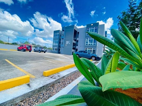 a view of a parking lot with cars in front of a building