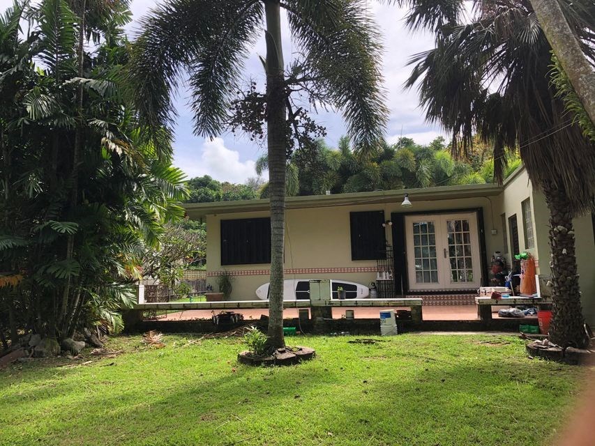 a house with a yard and palm trees