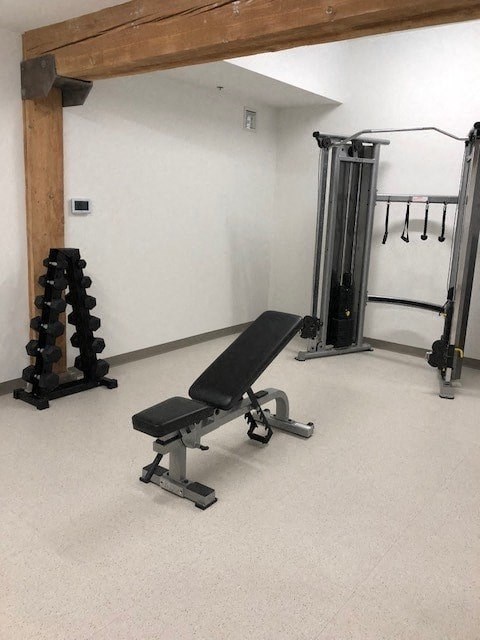 A gym with a bench, weights, and a squat rack.