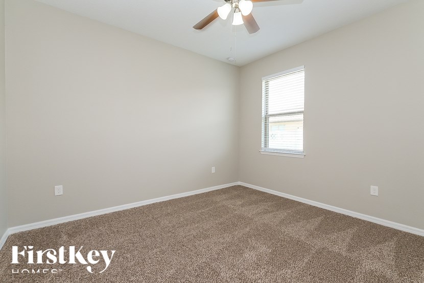 A room with a carpeted floor and a ceiling fan.