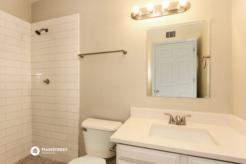 a bathroom with a sink and a mirror and a toilet