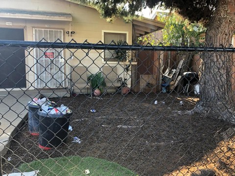 A backyard with a fence, a trash can, and a tree.