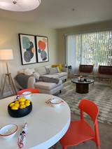 1-bedroom apartment at Civic Plaza Apartments in El Cerrito