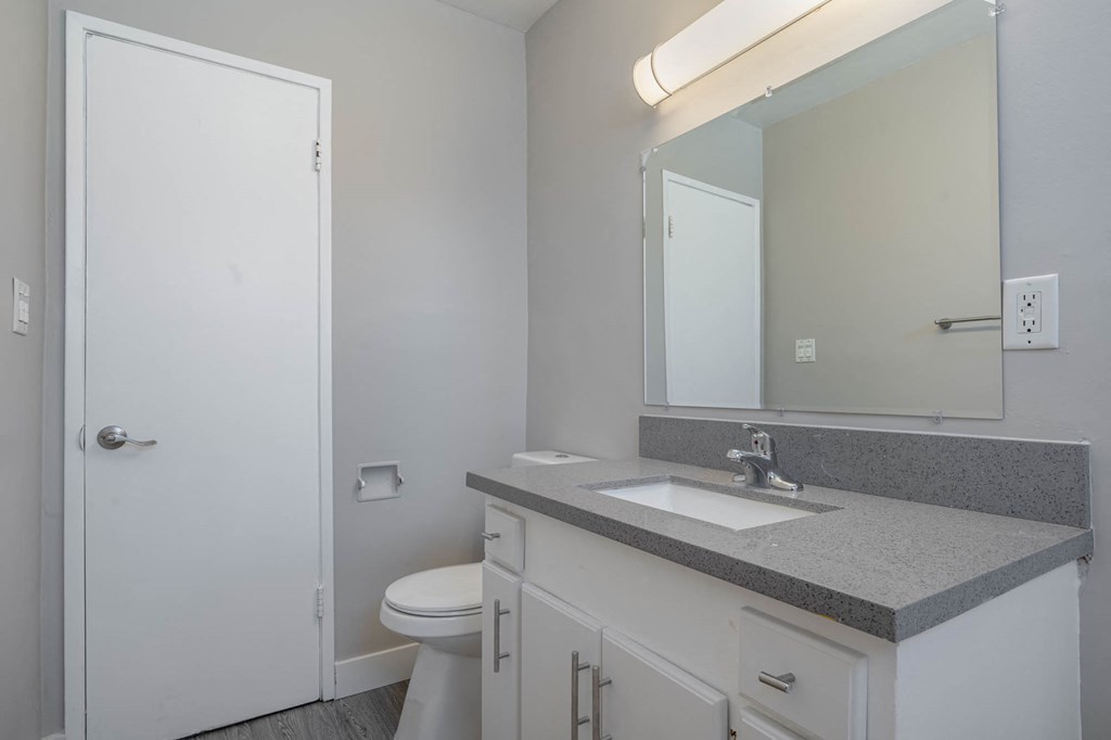 a bathroom with a sink toilet and a mirror