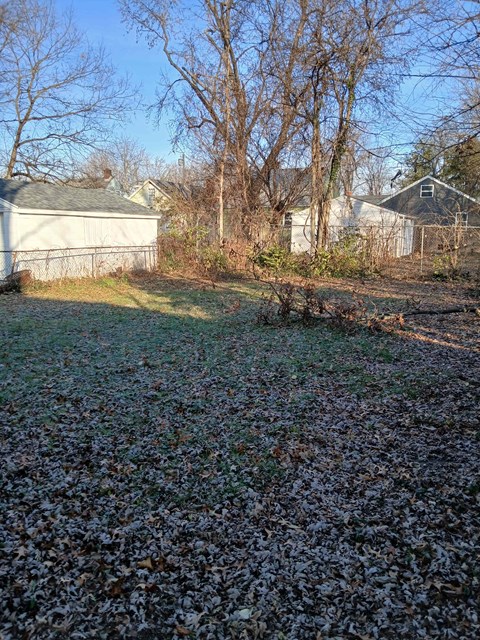 A backyard with a shed and trees.