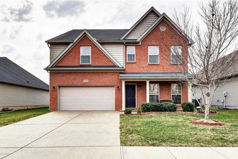 Z7231 Black Walnut Circle 9 Beds Apartment for Rent