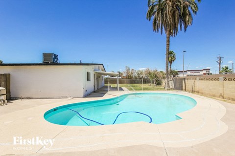 A swimming pool with a palm tree in the background.