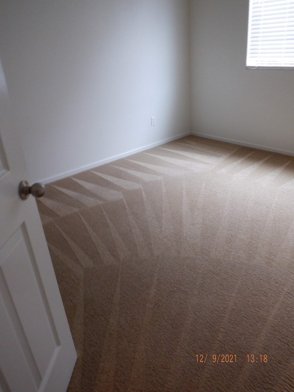 A room with a carpet and a white door.