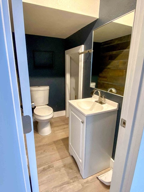 a bathroom with a toilet and a sink and a mirror
