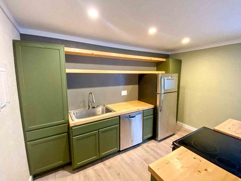 a kitchen with green cabinets and a sink and a refrigerator