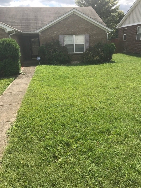 a yard in front of a house with green grass