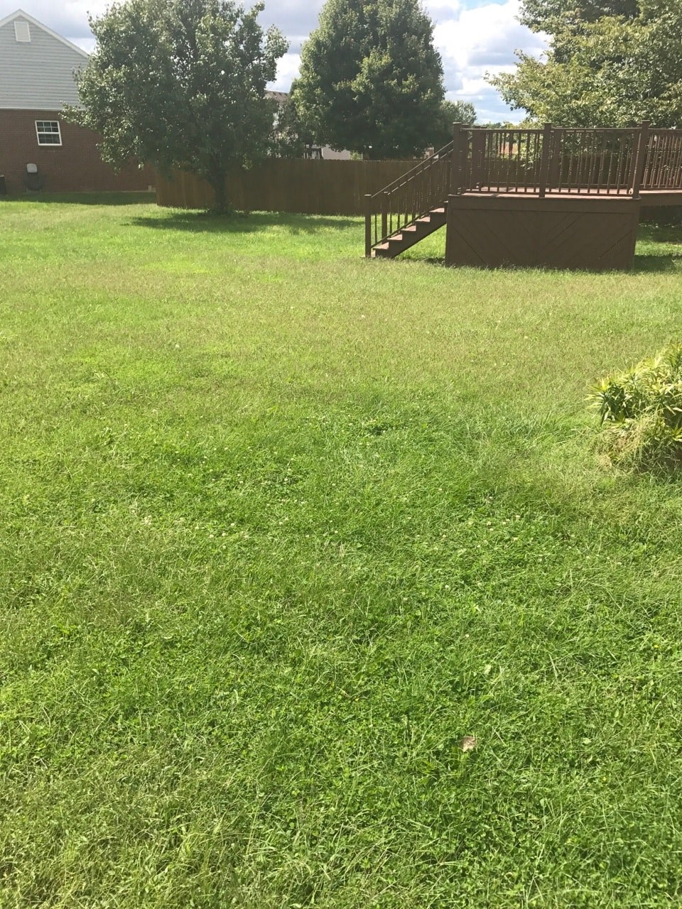 a yard with grass and a wooden deck