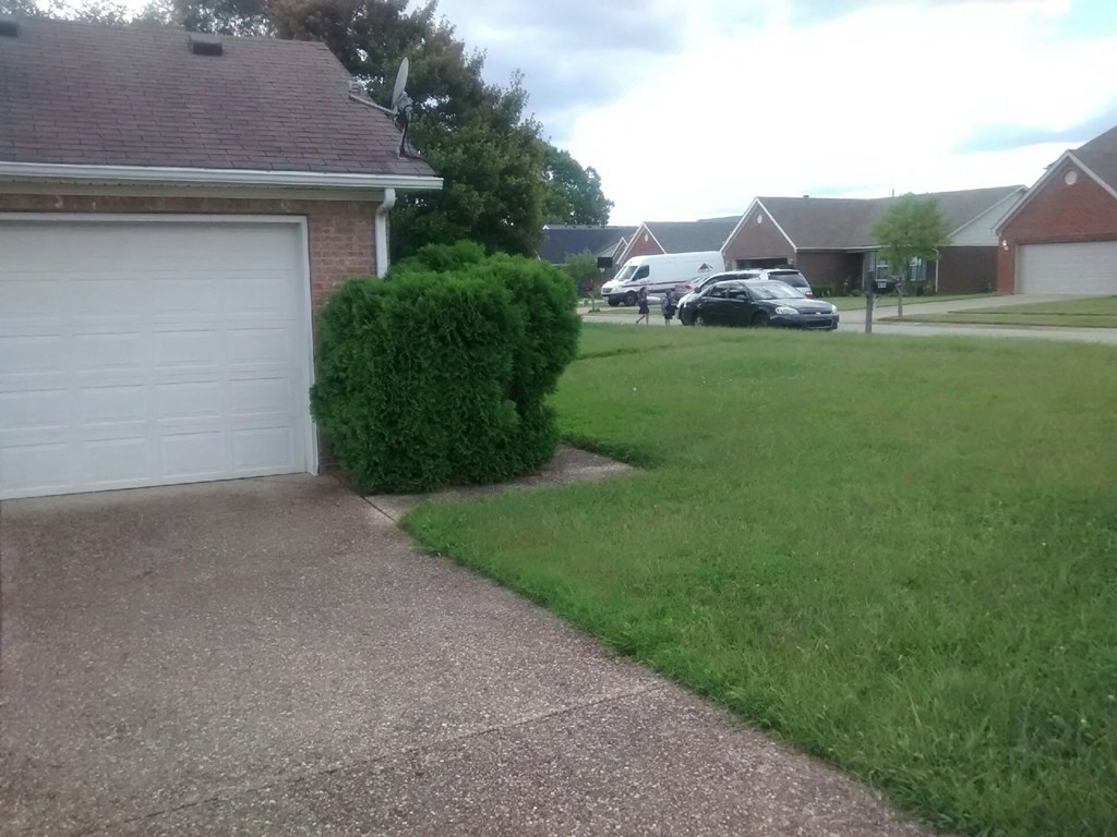 a driveway in front of a house with a garage door