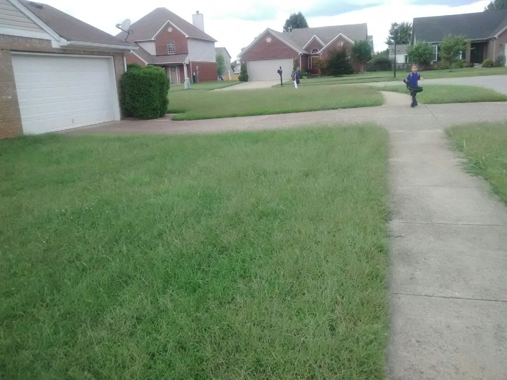 a yard with a child walking down a sidewalk