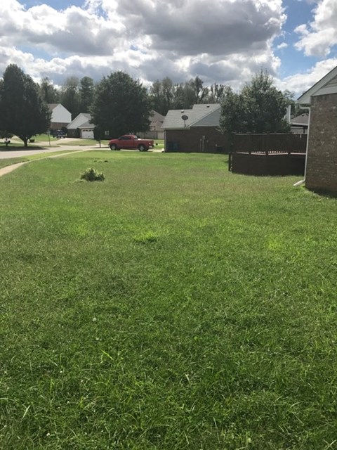 a field of grass with a house in the background
