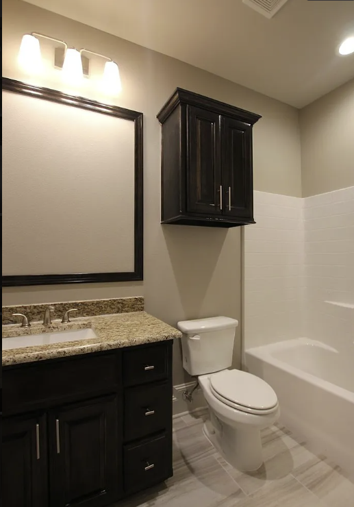 a bathroom with a toilet and a sink and a mirror