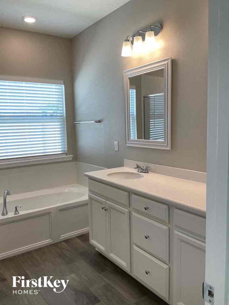 a bathroom with a sink and a bath tub and a mirror