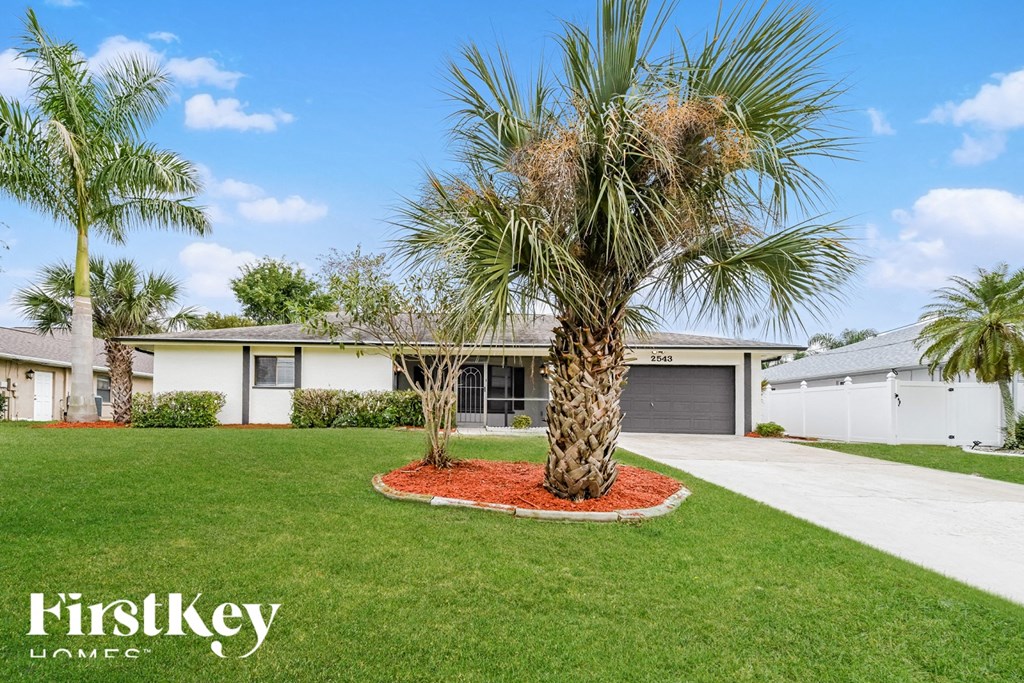 a palm tree in a yard in front of a house