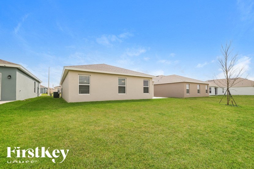 A row of houses with a tree in the front yard.