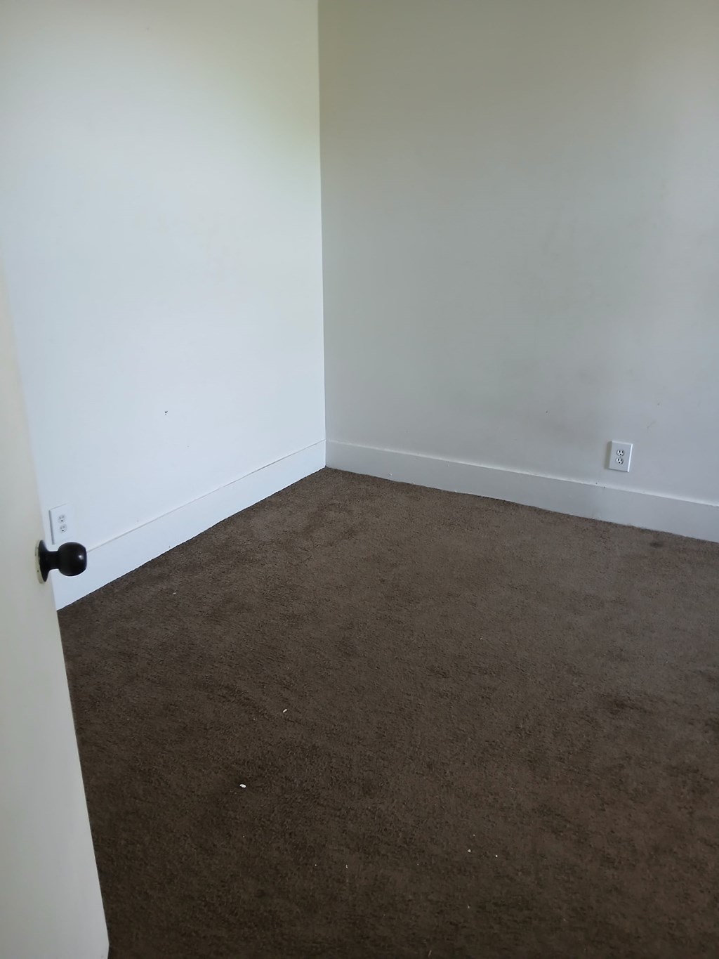 an empty room with white walls and a brown carpet