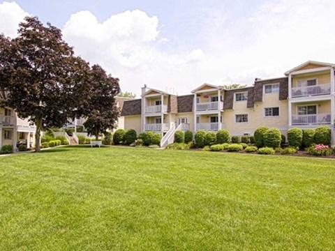 A grassy area in front of apartment buildings.