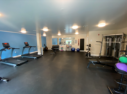 A gym with treadmills, weights and exercise balls.