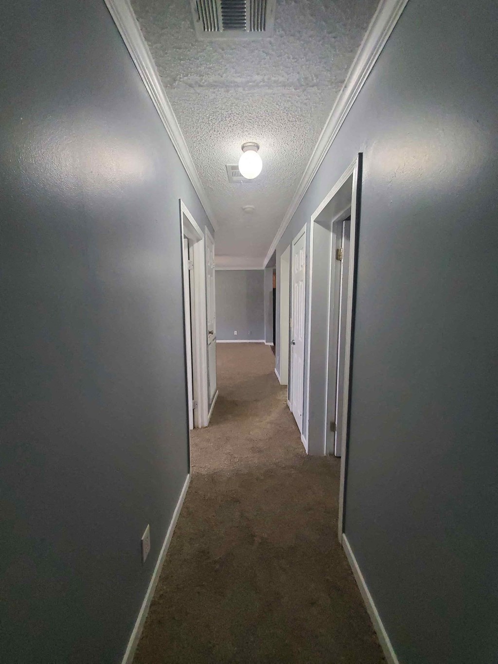 a hallway with a carpeted floor and grey walls and doors
