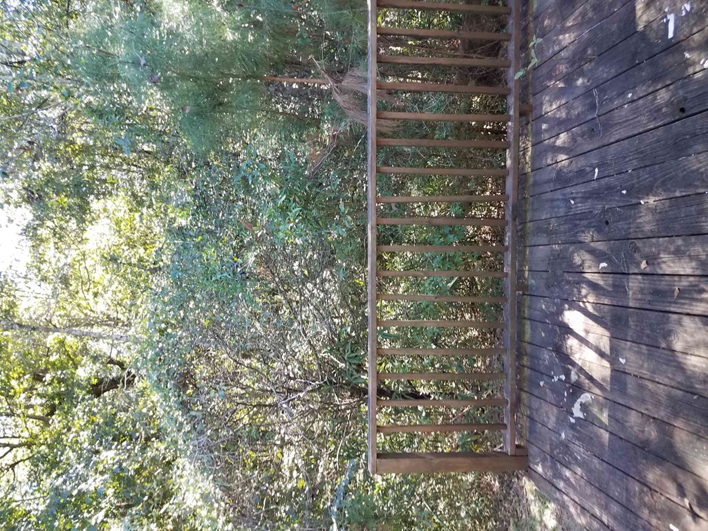 a flight of stairs leading up to a tree house