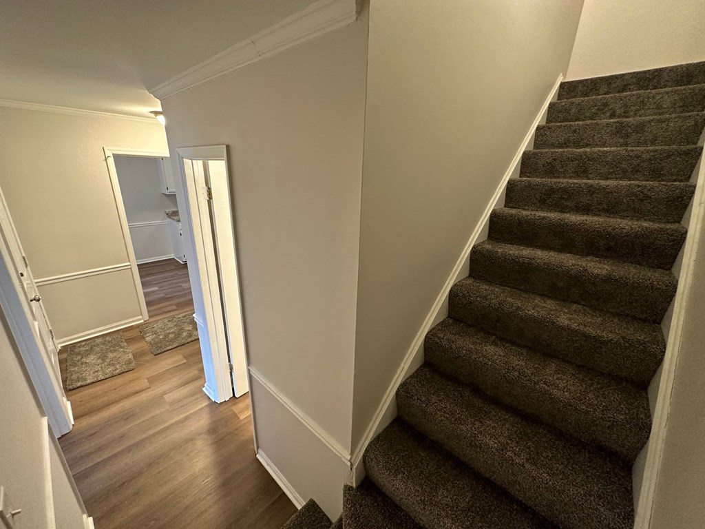 1907 Windy Point Court Winston Salem, NC  27127