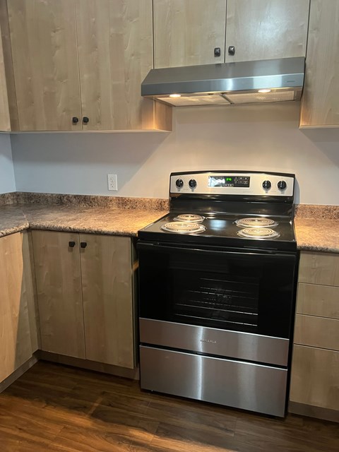 A modern kitchen with a stove top oven and a dishwasher.