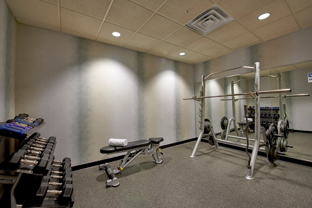 A gym with a bench, weights, and a squat rack.