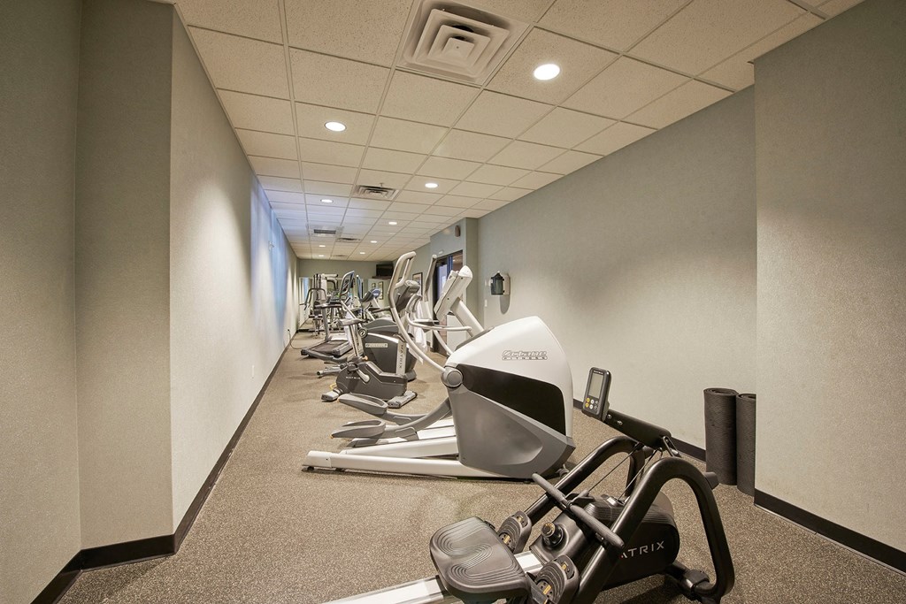 An exercise area with a row of cardio equipment.