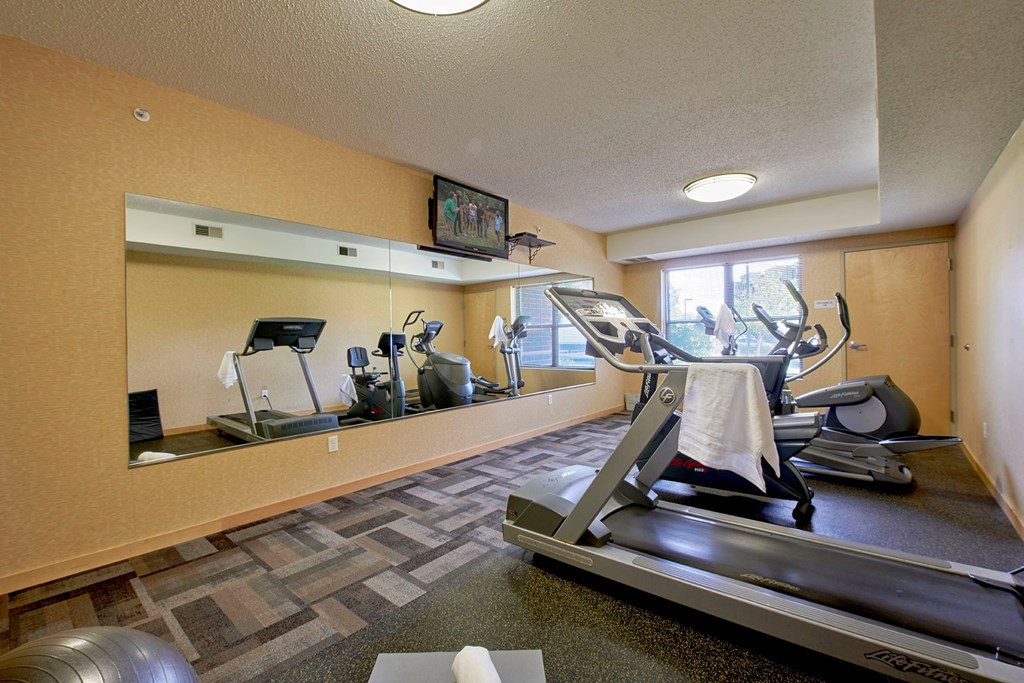 A gym with a treadmill, a mirror, and another cardio machine.