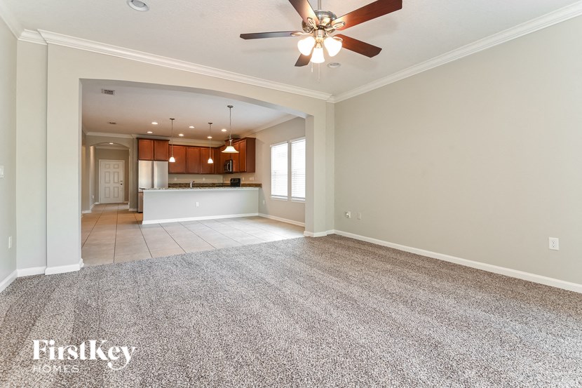A spacious room with a ceiling fan and a carpeted floor.