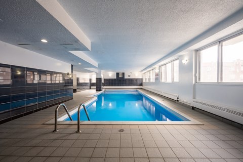 A large indoor swimming pool with a blue tiled wall and a tiled floor.
