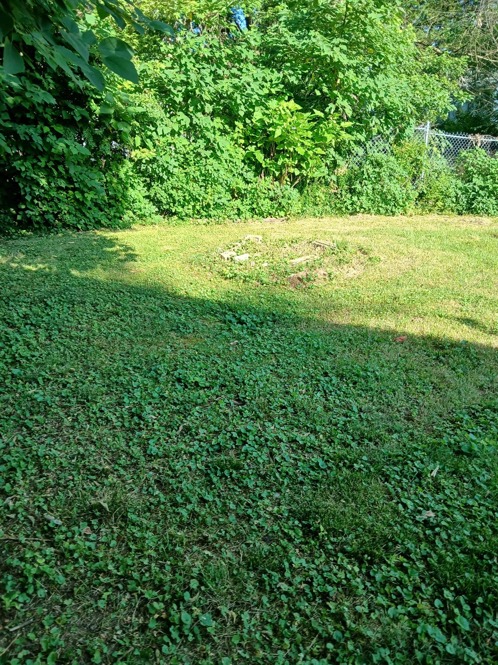 a yard with green grass and a fence