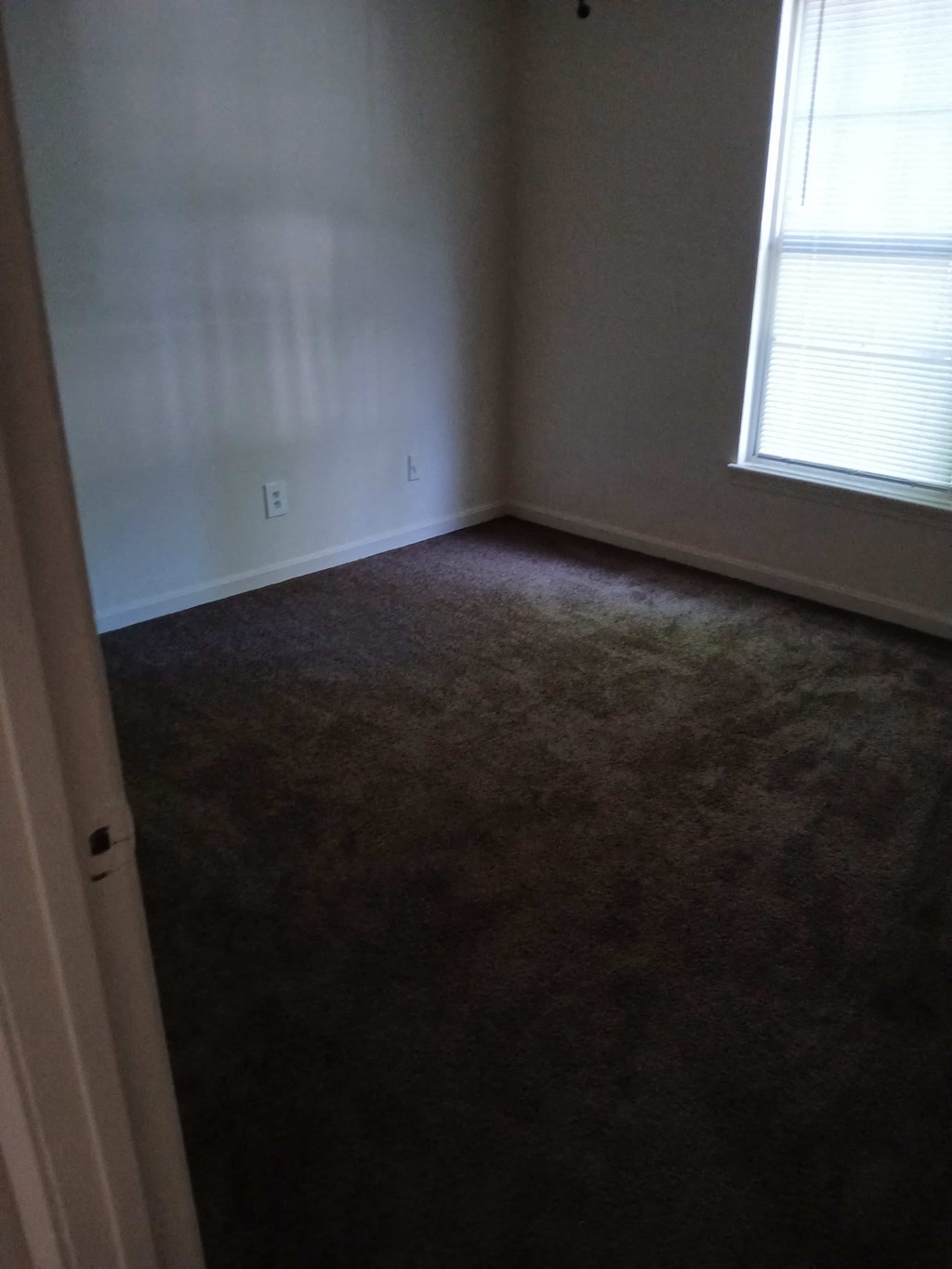 an empty room with a carpeted floor and two windows