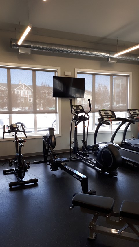 A gym with a row of exercise bikes and a television.