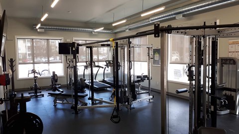 A gym with a variety of equipment including a squat rack, a leg press machine, and a bench press.