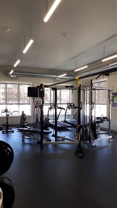 A gym with a variety of equipment including a treadmill, weights, and a bench press.