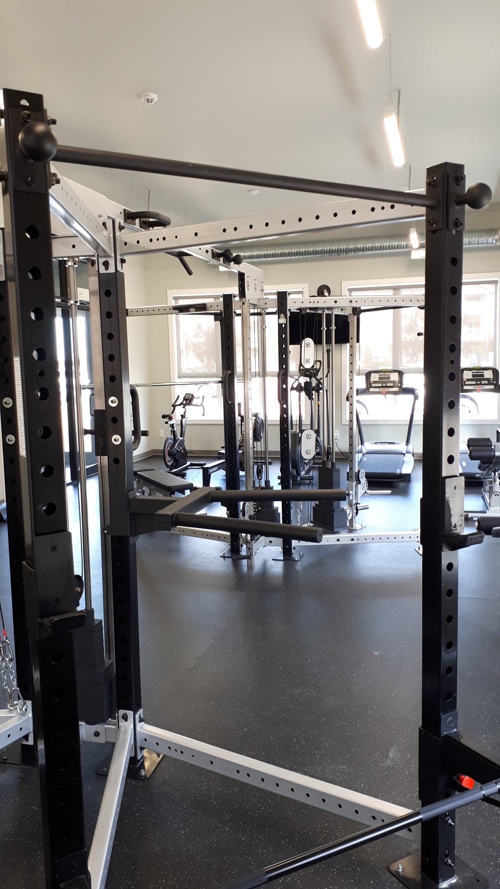 A black squat rack in a gym with a white line on the floor.