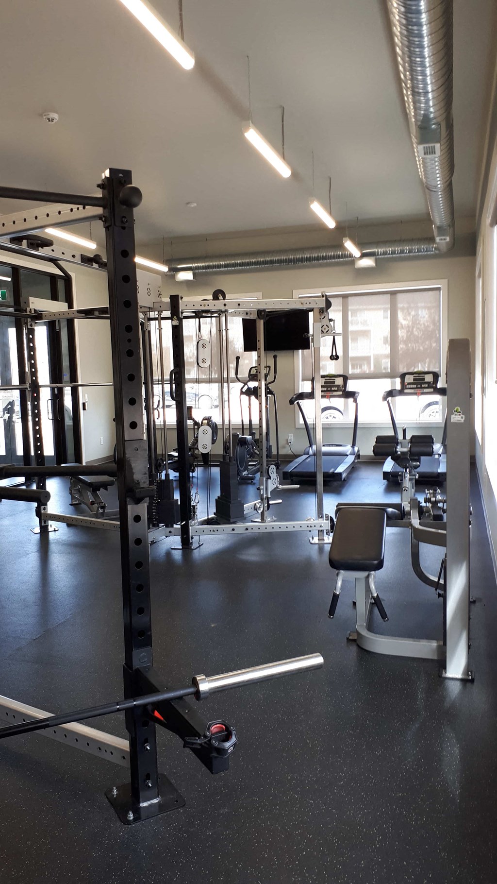 A gym with a squat rack, weight bench, and other equipment.